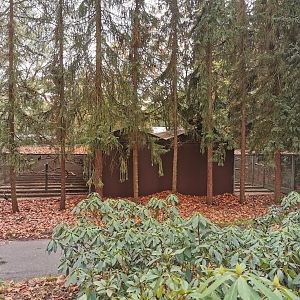 Breeding aviaries (?) seen from "Hinter den Kulissen" (Nov 2nd, 2019)