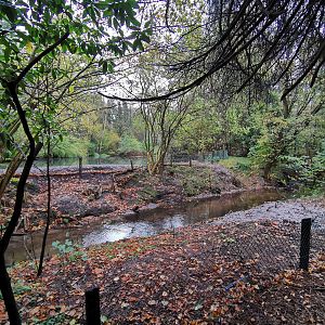 Plans for 2020? (Nov 2nd, 2019)