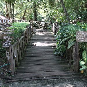 entry boardwalk