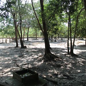enclosure for Sambar and Chital