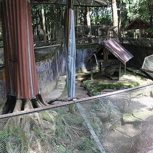 enclosure for Burmese Pythons
