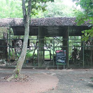 small carnivore enclosures