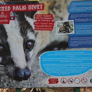 signage example (Masked Palm Civet)