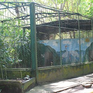 cage for Sarus Crane