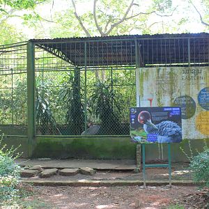 cage for Sarus Crane