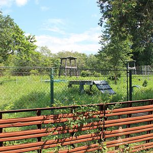 enclosures for bears