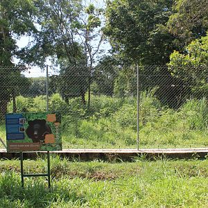 enclosures for bears