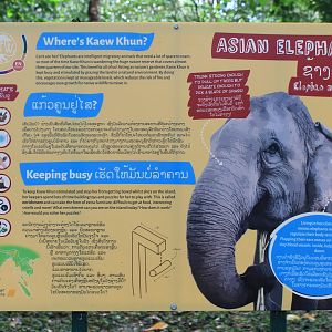 elephant signage (explaining why you won't see the elephant)