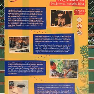 Common Palm Civet signage