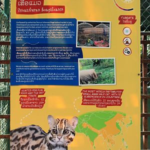 Leopard Cat signage