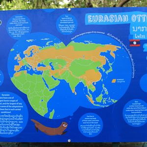 Eurasian Otter signage