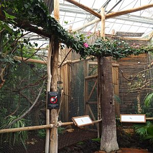 Saint Lucia and Saint Vincent amazons aviaries, 2019-10-05