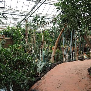 View in the Oasis, 2019-10-05