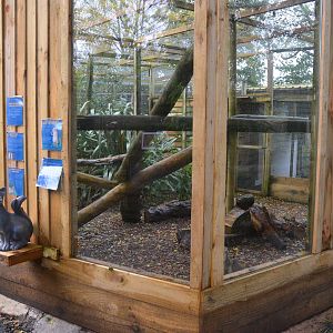 Fishing Cat Enclosure at Axe Valley, 02/11/19