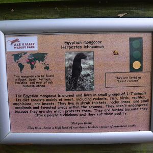 Signage Example at Axe Valley, 02/11/19