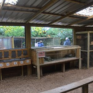 Jerboa and Finlayson's Squirrel Enclosures at Axe Valley, 02/11/19