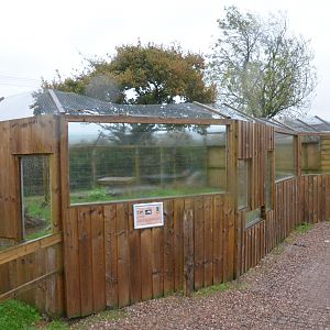 Arctic Fox Enclosure at Axe Valley, 02/11/19