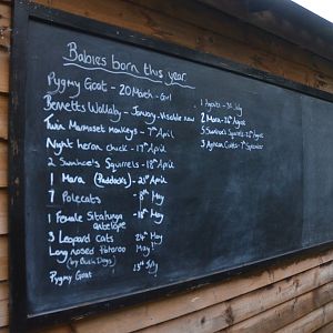 Recent Births at Axe Valley, 02/11/19