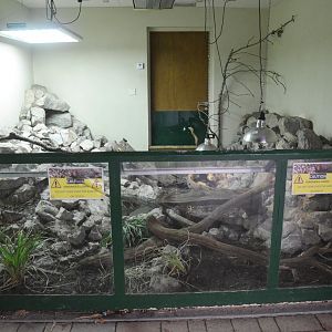 Open-fronted Beaded Lizard Enclosure at Longleat, 03/11/19