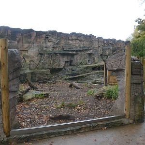 Giant Otter Outdoor Enclosure at Longleat, 03/11/19