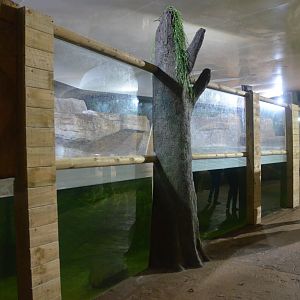 Giant Otter Indoor Enclosure at Longleat, 03/11/19