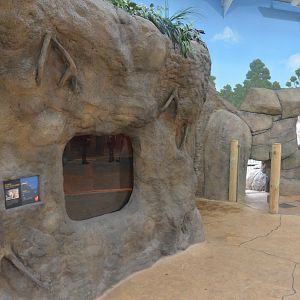 Wombat Indoor Enclosure at Longleat, 03/11/19