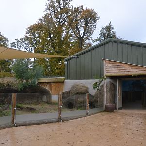Wombat Outdoor Enclosure at Longleat, 03/11/19