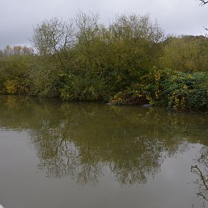 Hippo Sail-past (Half-Mile Lake) at Longleat, 03/11/19