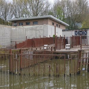 Sea Lion Training/Separation Pens (Half-Mile Lake) at Longleat, 03/11/19