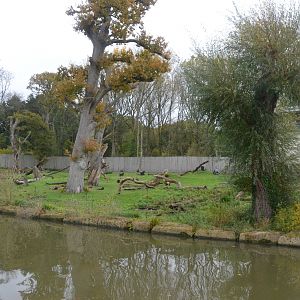 Gorilla Enclosure (Half-Mile Lake) at Longleat, 03/11/19