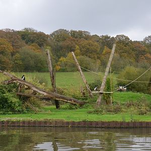 Colobus Island (Half-Mile Lake) at Longleat, 03/11/19
