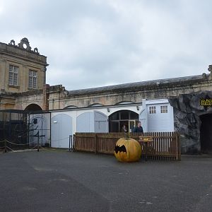 Bat and Kinkajou Building at Longleat, 03/11/19