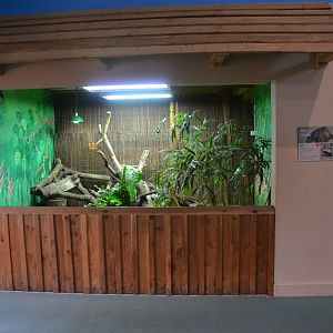 Open-fronted Nile Monitor Enclosure at Longleat, 03/11/19