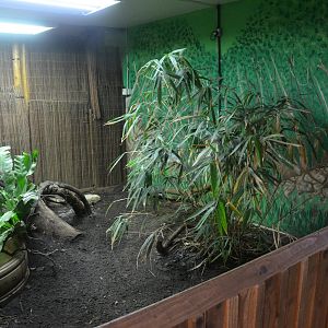 Open-fronted Nile Monitor Enclosure at Longleat, 03/11/19