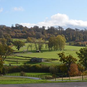 Safari View at Longleat, 03/11/19