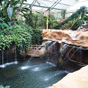 Oasis - pond around monkey island and cave with hummingbird and chinchilla exhibits, 2019-10-05