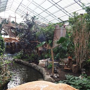 Oasis - White-faced saki and Cotton-top tamarin island, 2019-10-05