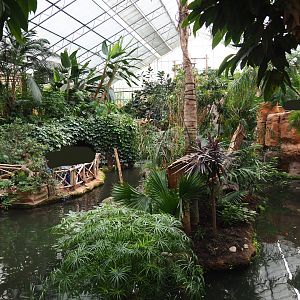 View in the Oasis, 2019-10-05