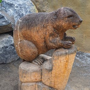 Canadian beaver wood carving, 2019-10-05