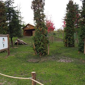 Common fallow deer separation area, 2019-10-05