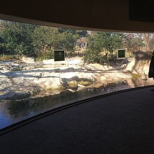 Crane Exhibit