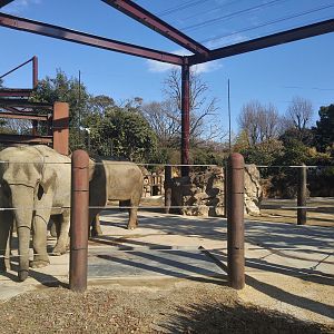 Elephant Exhibit