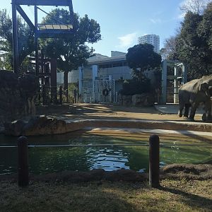 Elephant Exhibit