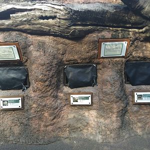 Small Mammal Exhibits