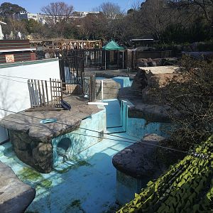 Empty Seal Pool