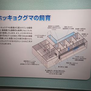 Polar Bear Building Signage