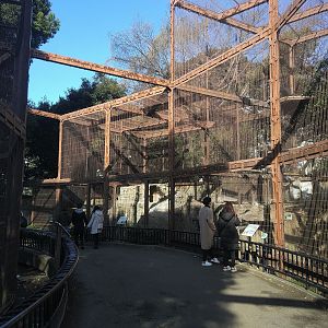 Bird Of Prey Aviaries