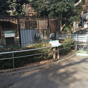 Otter Exhibit