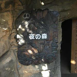 Nocturnal House Entrance