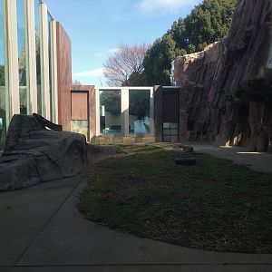 Polar Bear Exhibit